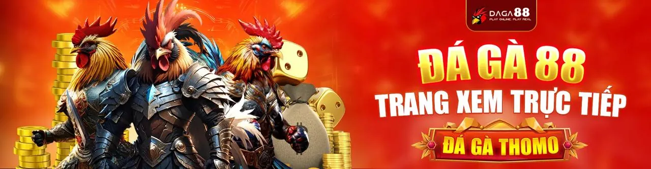 Đá gà trực tuyến SHBET APK – Đấu trường gà kịch tính